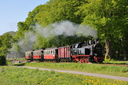 Traumhochzeit in Kühlungsborn: Die standesamtliche Trauung in der Bäderbahn Molli – Trauung in der historischen Eisenbahn, ganz individuell für Sie gestaltet!  